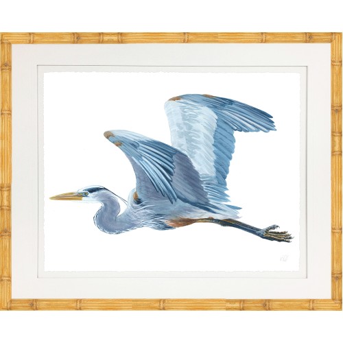 KS- BLUE HERON 11